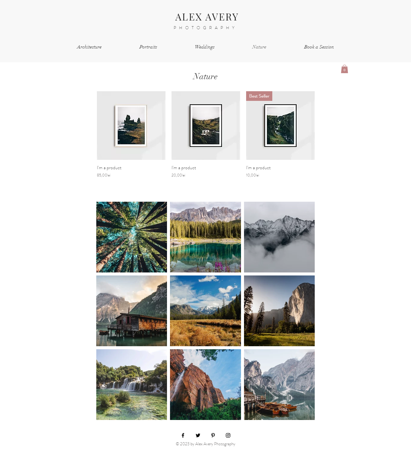 Web-Design von Ruxandra Teodora für Alex Avery Photography | Design #24315320
