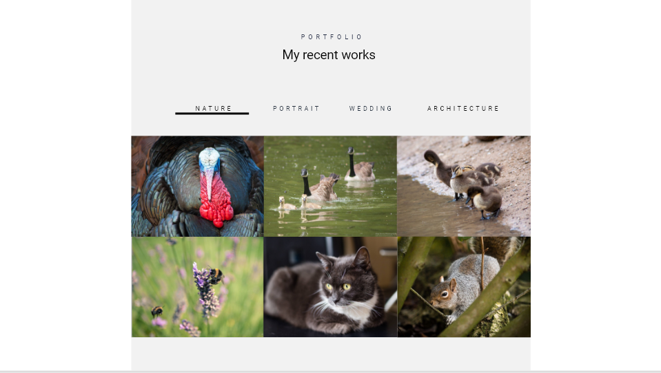 Web Design by Zerrocool41 for Alex Avery Photography | Design #24304187