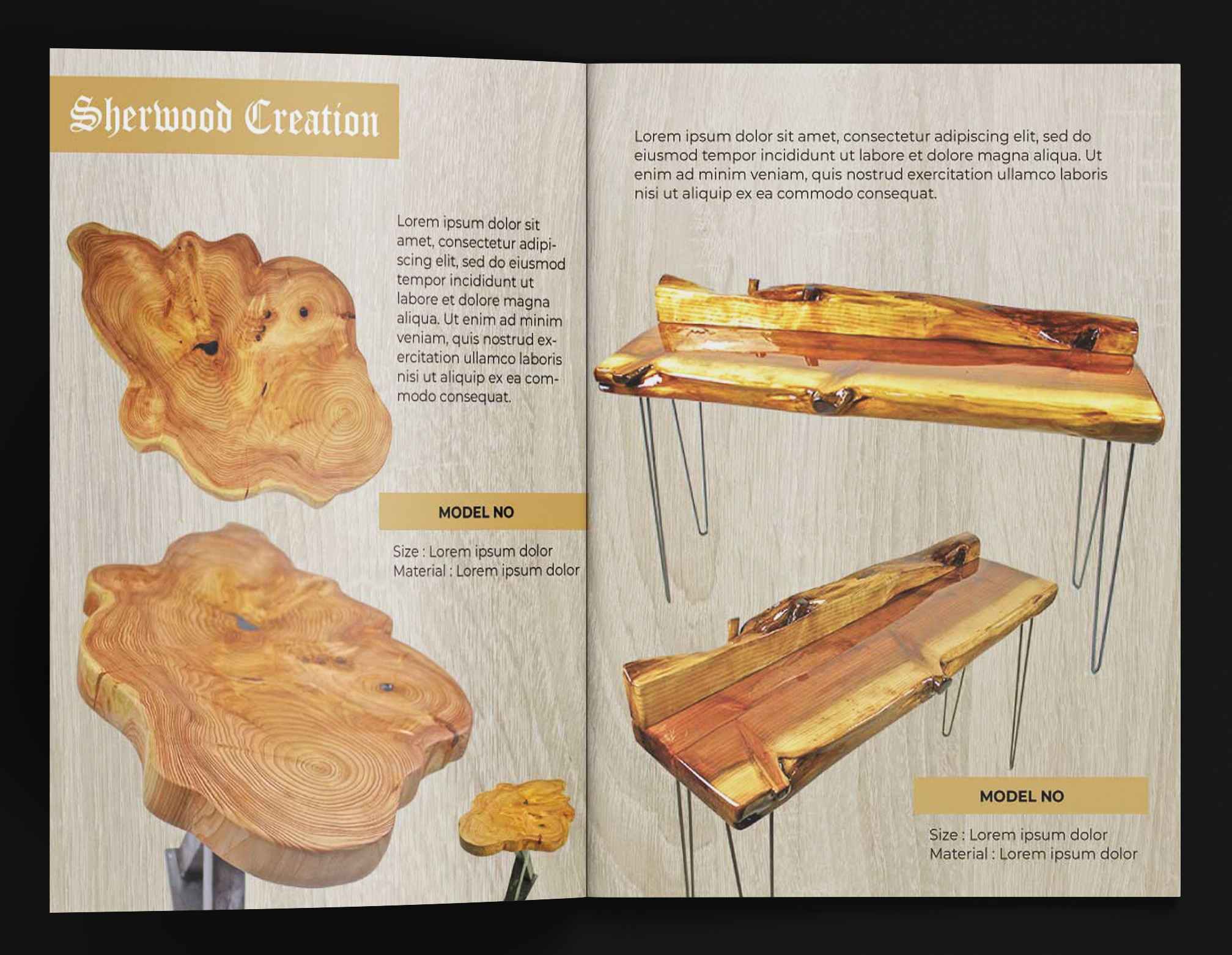 Design de Catalogue par saurov pour ce projet | Design #24426518