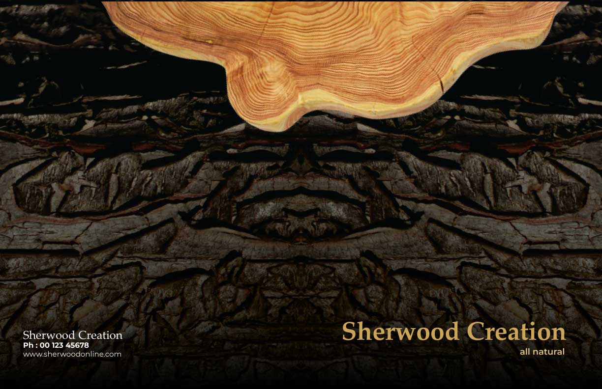 Katalog-Design von saurov für dieses Projekt | Design #24426519