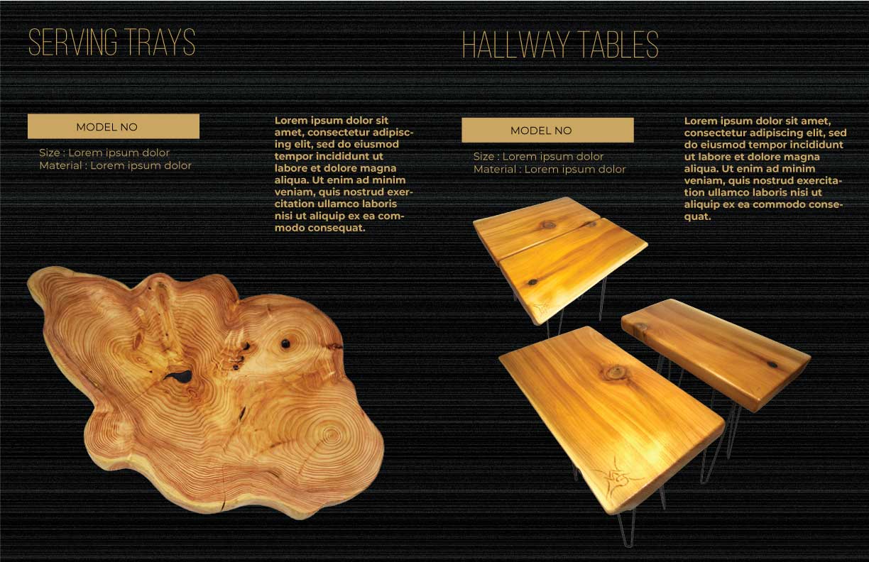 Design de Catalogue par saurov pour ce projet | Design #24447364