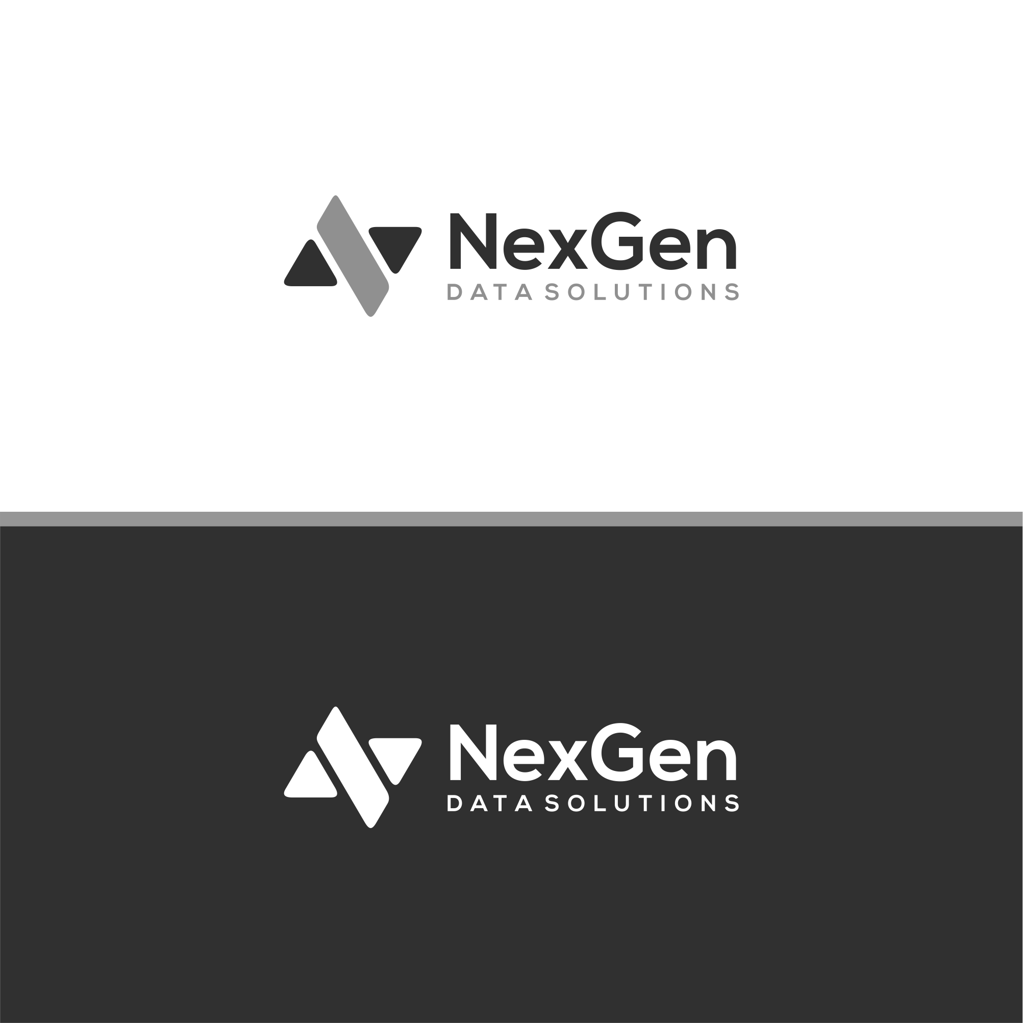 Logo Design by TULLUS STUDIO™ for NexGen Data Solutions | Design #24295327