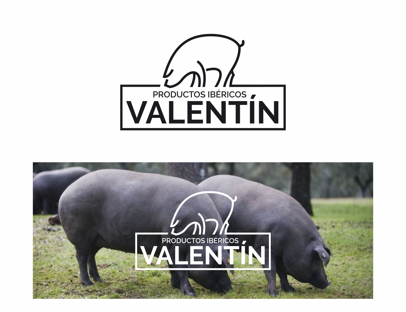 Logo Design by MOH Studio for this project | Design #24307816