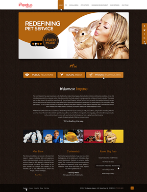 The Impetus Agency | Web Design by Latest Design Ideas