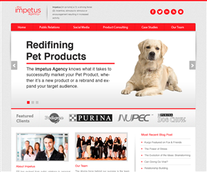 Web Design by Pabloravel for The Impetus Agency | Design: #3063474