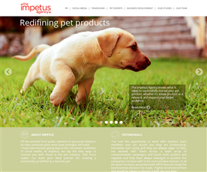 Web Design by Anthony for The Impetus Agency | Design #3037842