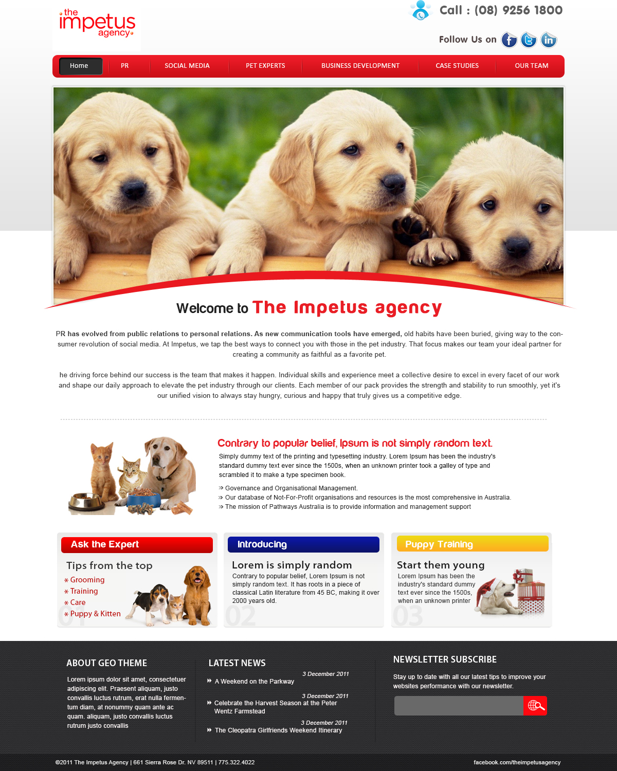 Web Design by webxvision for The Impetus Agency | Design #3006680