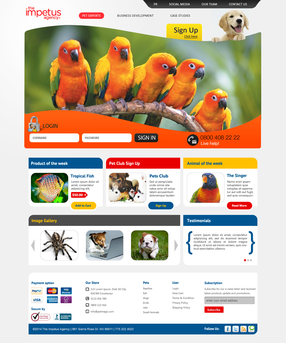 Web Design by webxvision for The Impetus Agency | Design #3011452