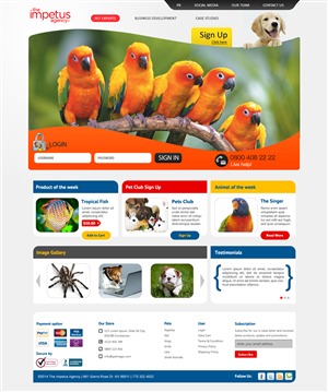 Web Design by webxvision for The Impetus Agency | Design: #3011452