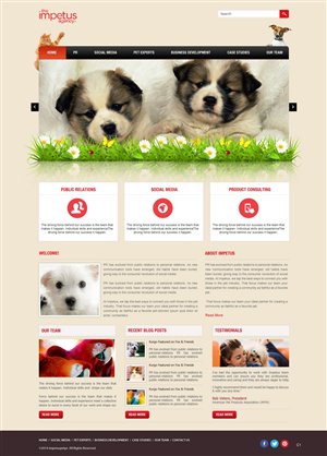 Web Design by pb for The Impetus Agency | Design: #3014543