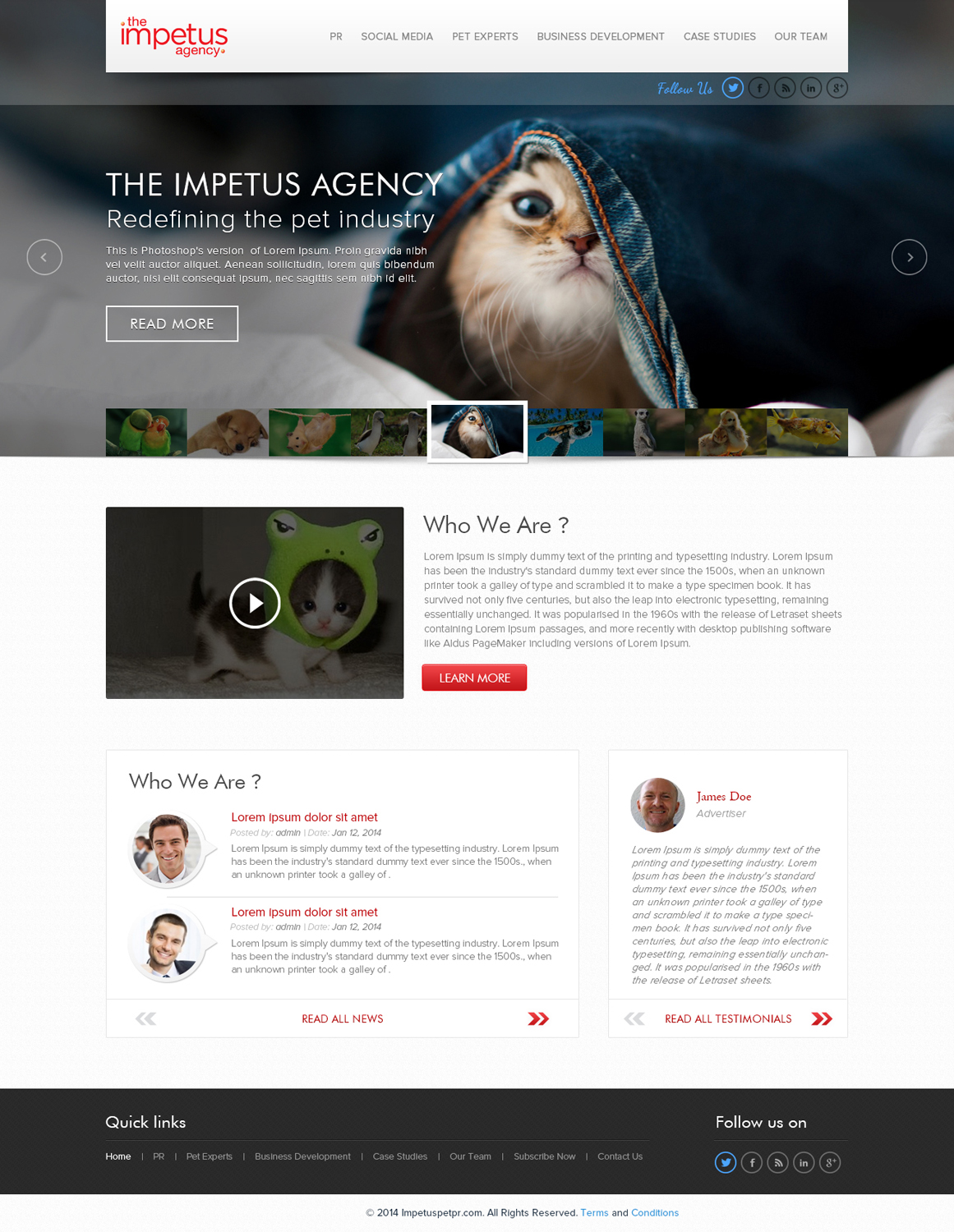 Web Design by the-lion-king for The Impetus Agency | Design #3007254