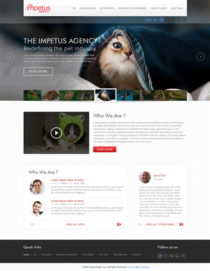 Diseño Web por the-lion-king
