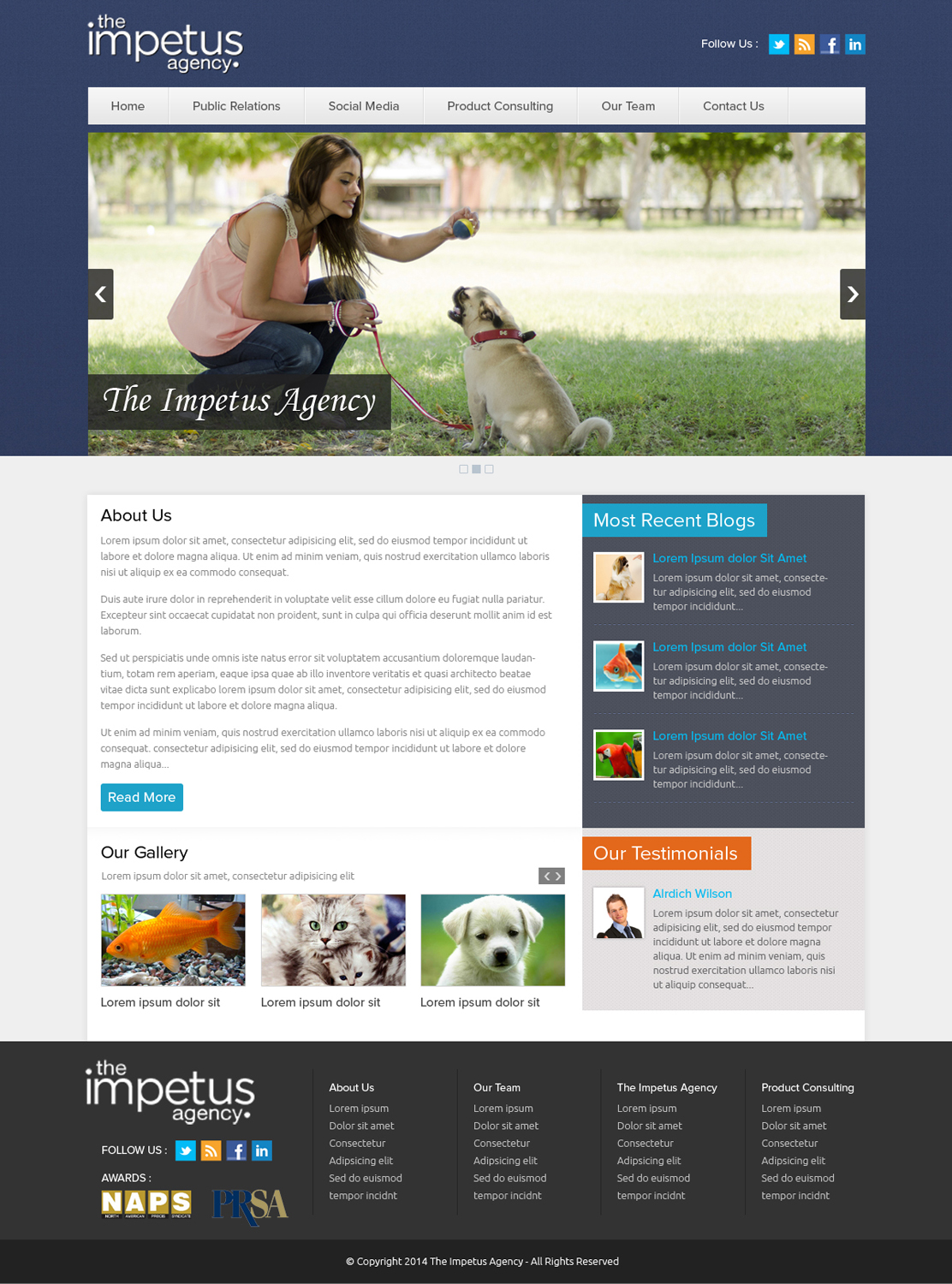 Web Design by OM for The Impetus Agency | Design #3014257