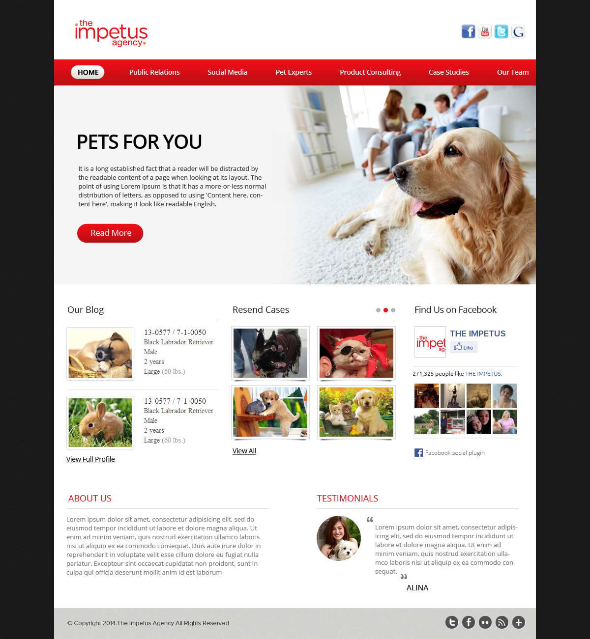 Web Design by OM for The Impetus Agency | Design #3014265