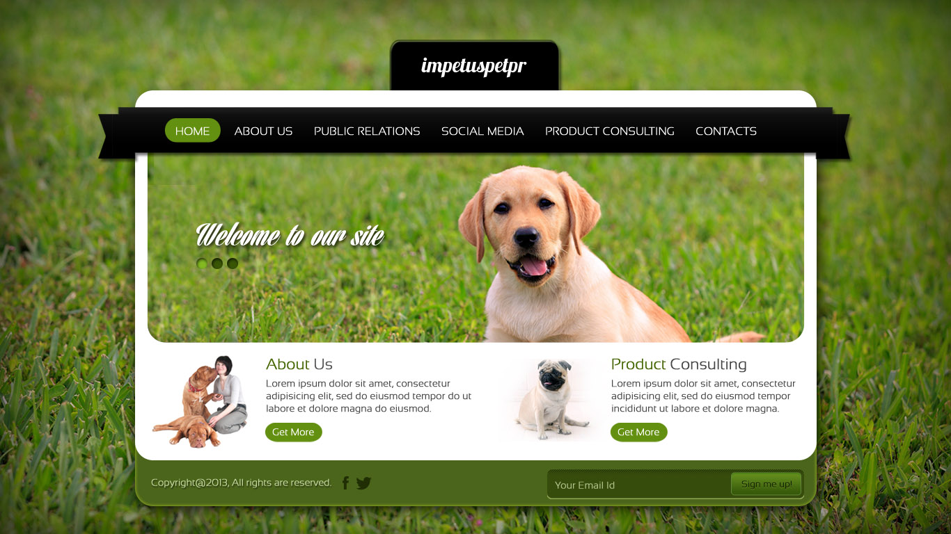 Web Design par UniqueDesignz pour The Impetus Agency | Design #3029514