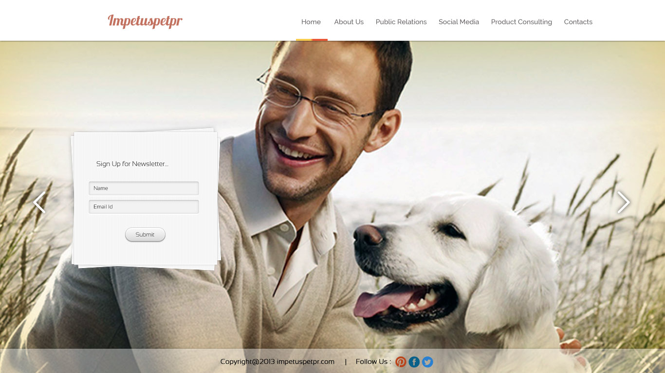 Web Design par UniqueDesignz pour The Impetus Agency | Design #3029518