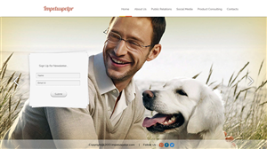 Web Design by UniqueDesignz for The Impetus Agency | Design: #3029518