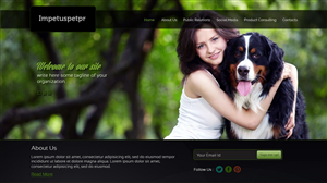 Web Design by UniqueDesignz for The Impetus Agency | Design: #3029523