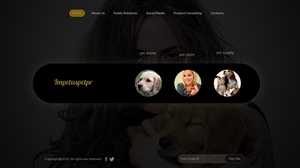 Web Design by UniqueDesignz for The Impetus Agency | Design: #3029525