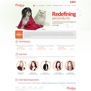 Web Design by TechWise
