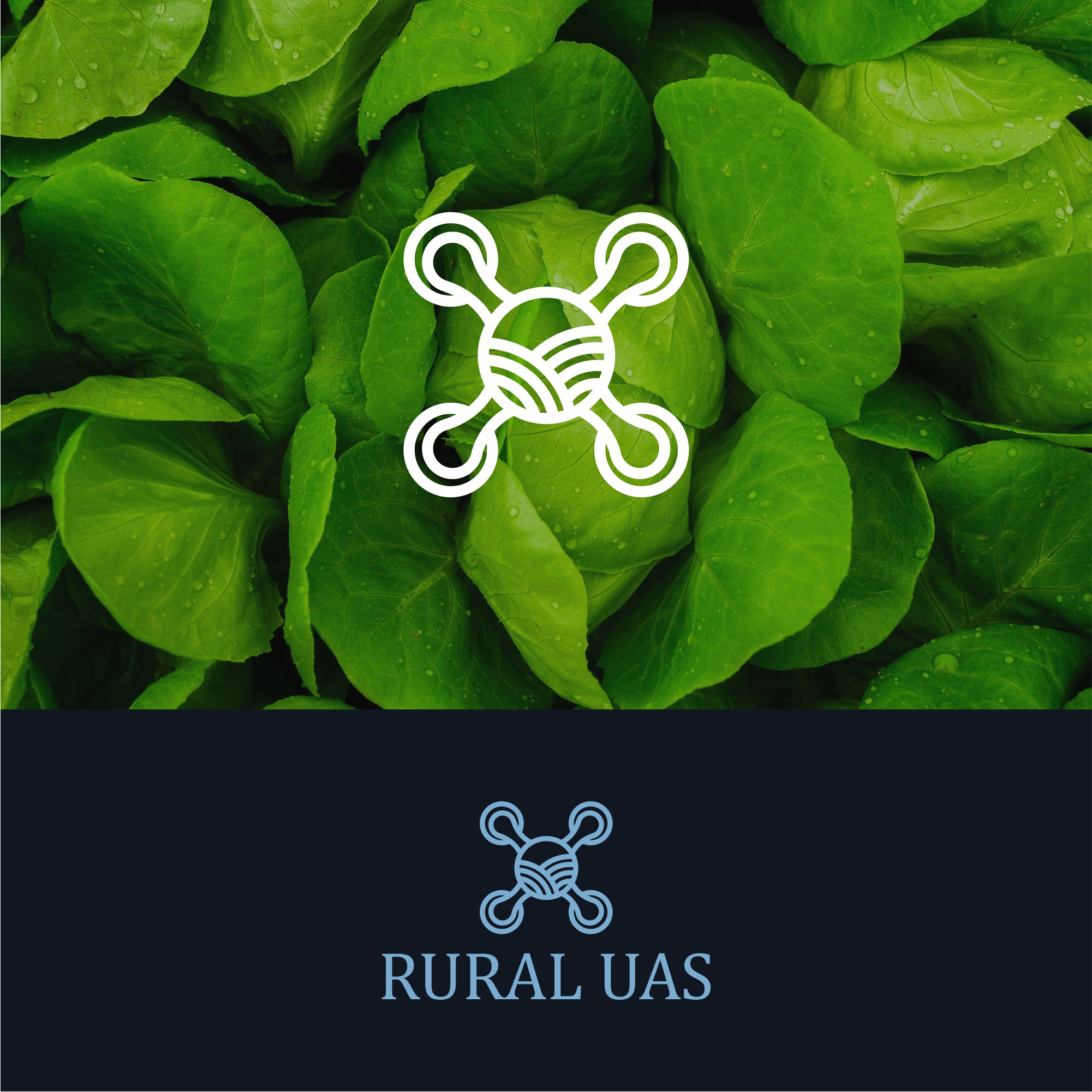 Logo Design by alitjuara for this project | Design #24331457