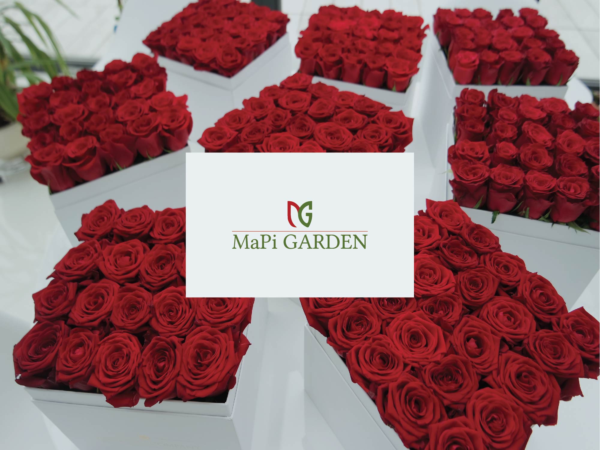 Logo Design by HifjurRahmanAsad for this project | Design #24365878