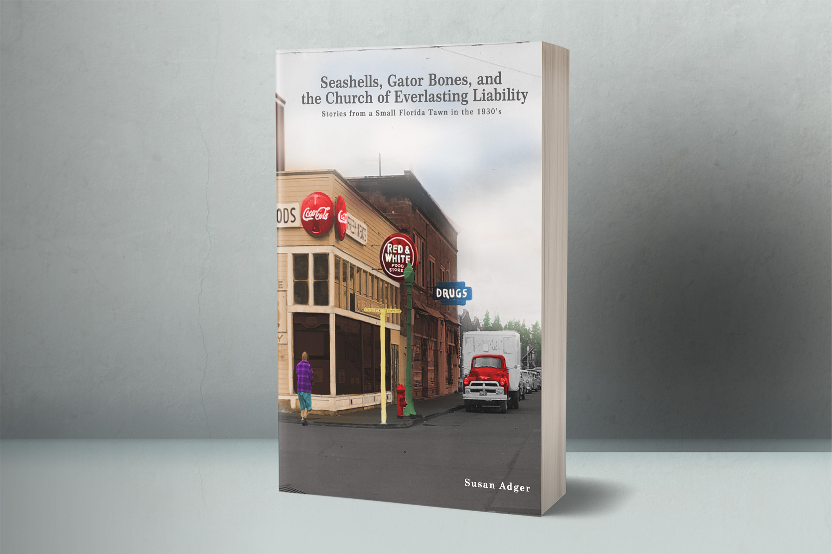 Book Cover Design by Bear Studio for Grey Gecko Press | Design #24315077