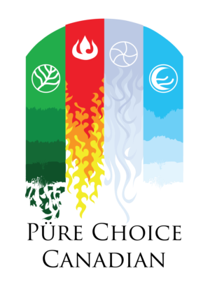 Logo Design by vishnu 