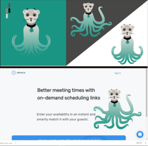 Mascot Design by Indre Ta