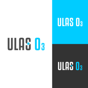 Logo Design by qholis studio