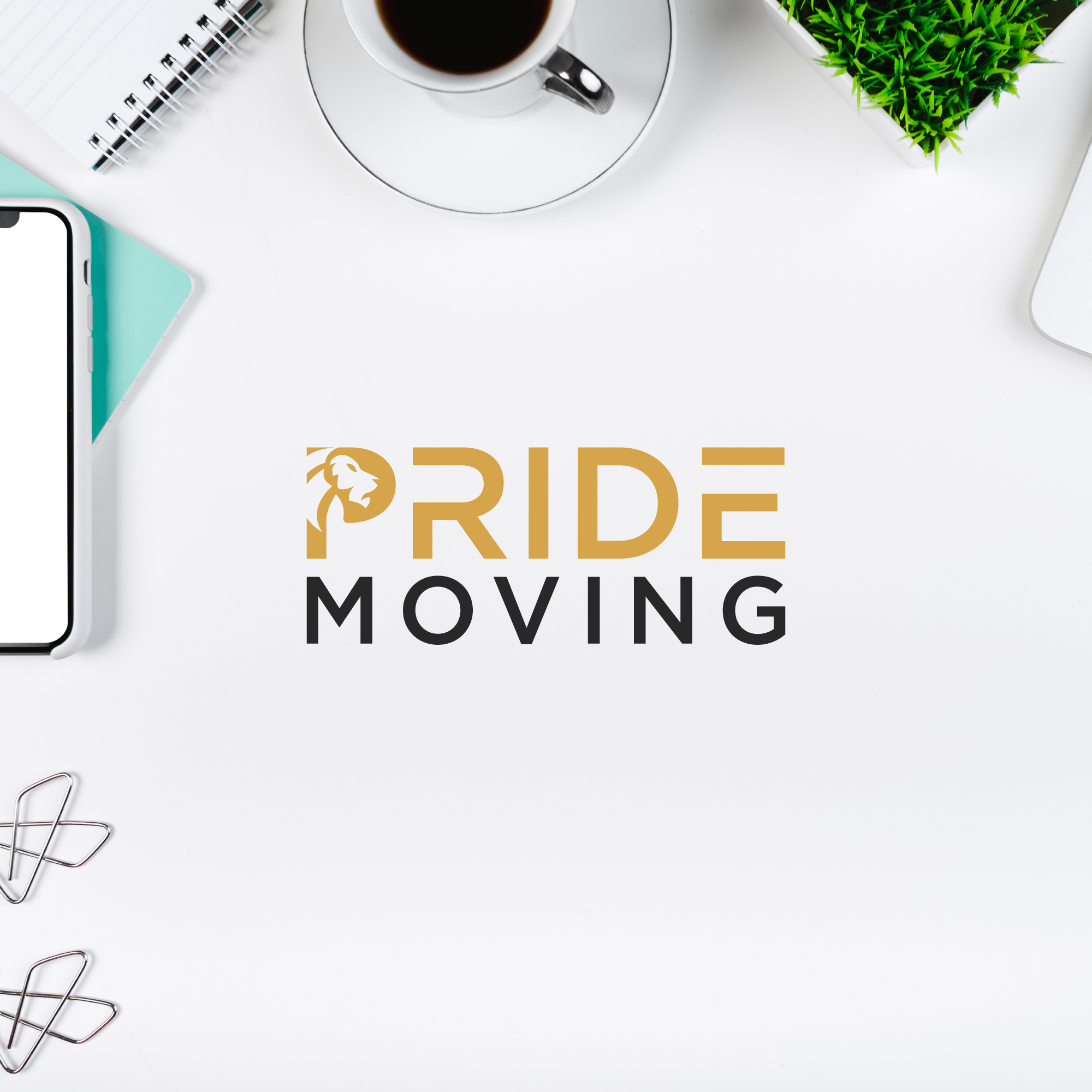 Logo Design by HiDzign for this project | Design #24319196