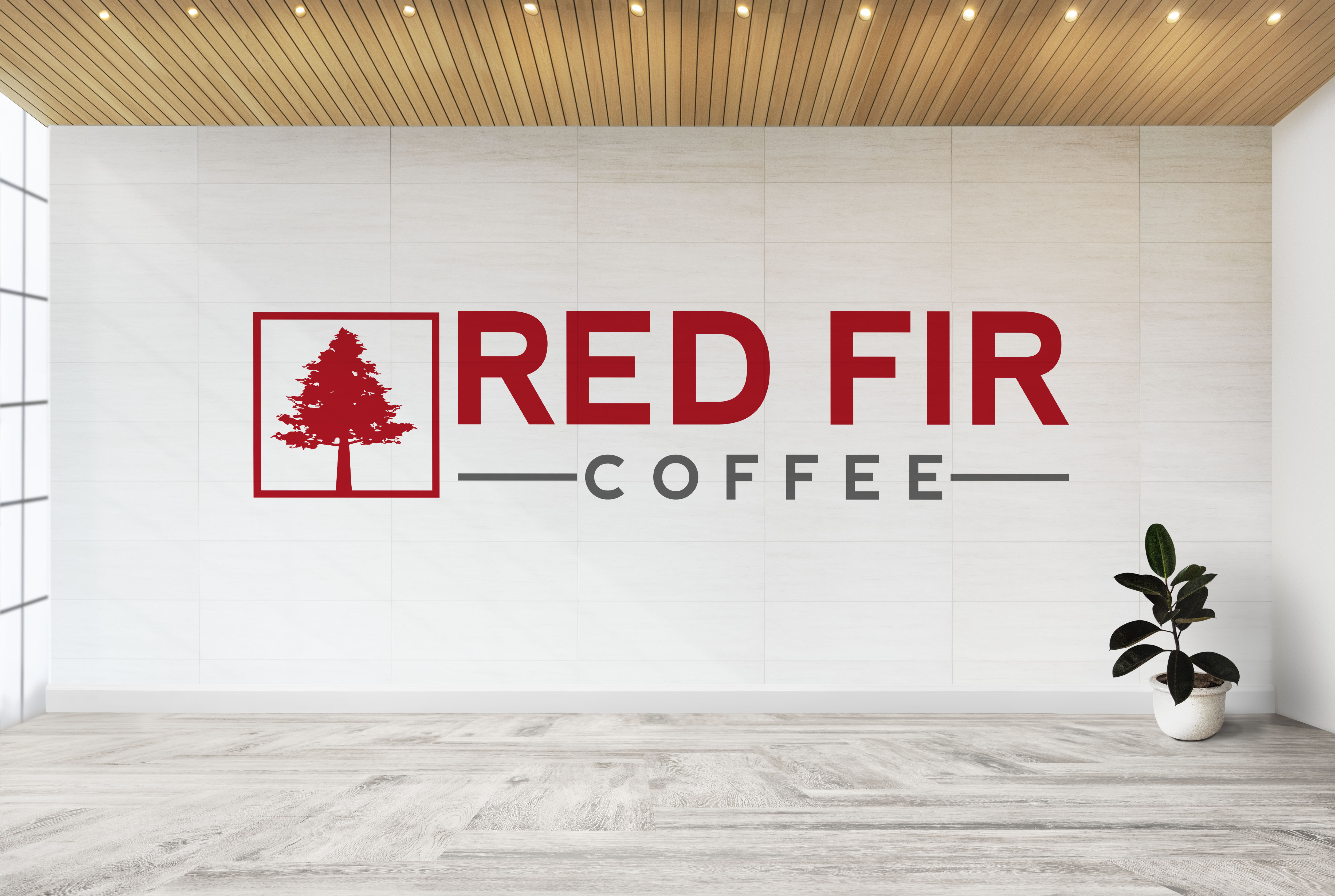 Diseño de Logo por Aliqa Design para este proyecto | Diseño #24321567