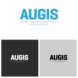 Logo Design by Silvester