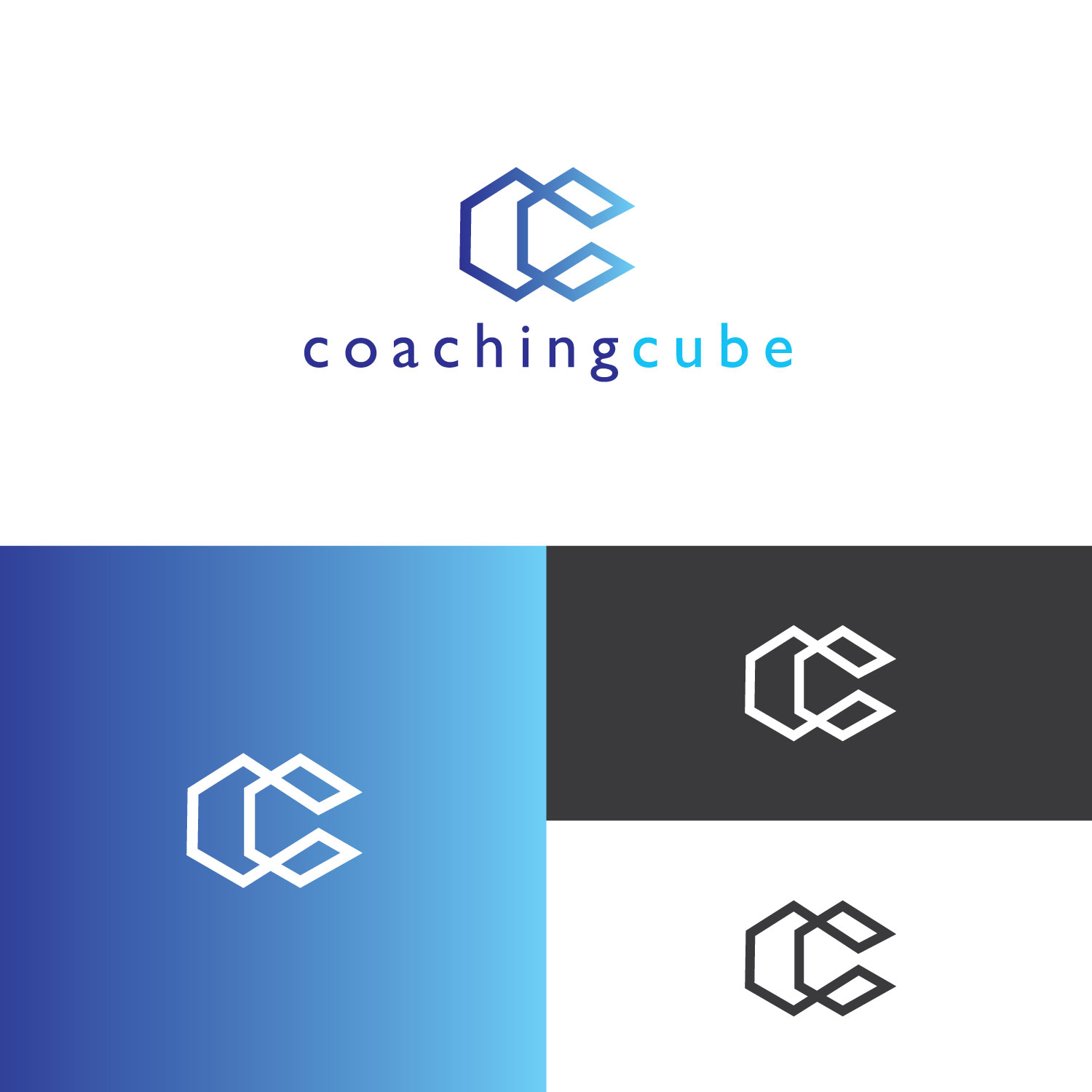 Logo Design by LogoToGoStudio for this project | Design #24331845