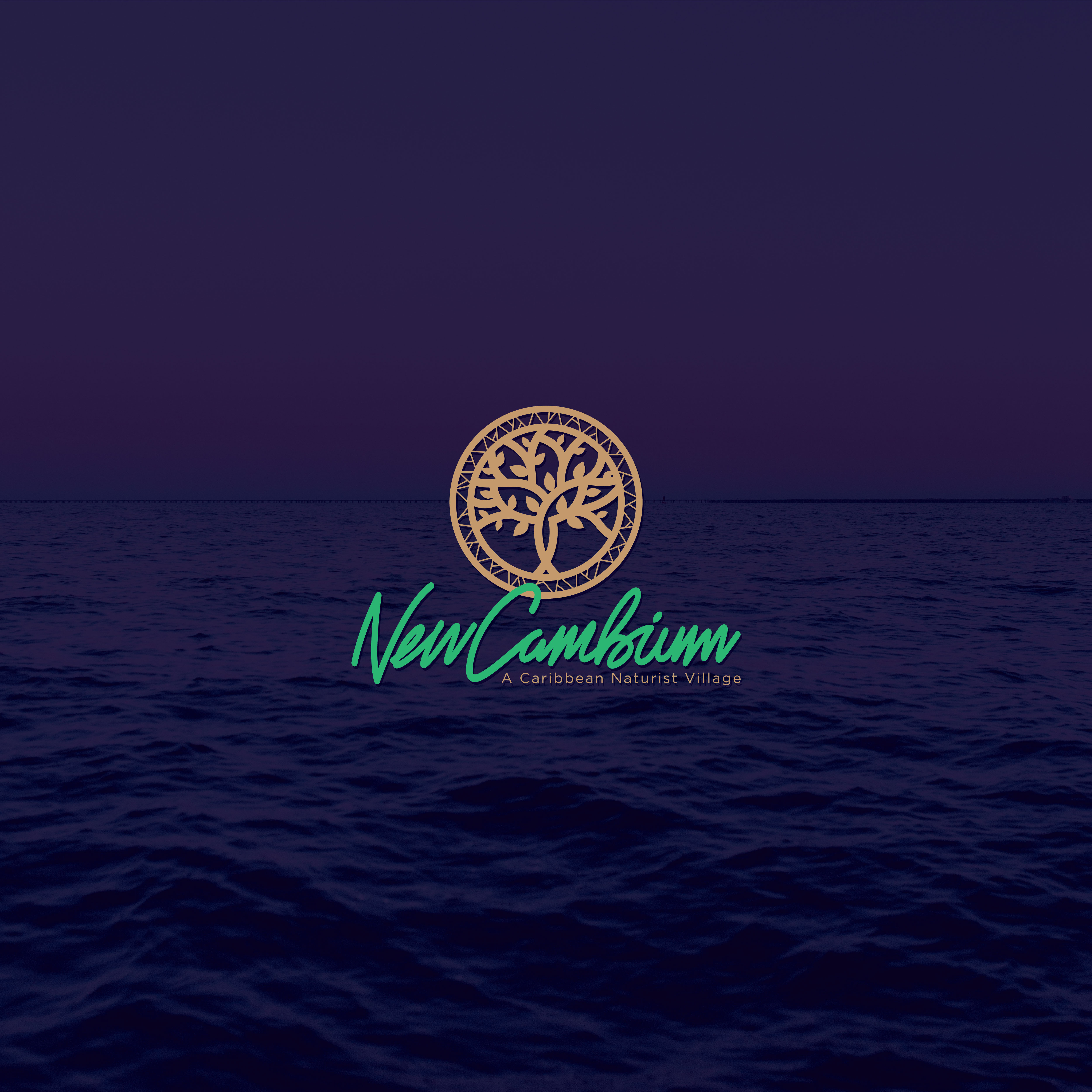 Design de Logo par Christopher.Min pour ce projet | Design #24323579