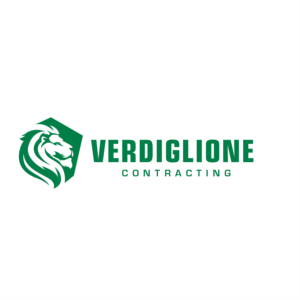 Logo Design by singhania
