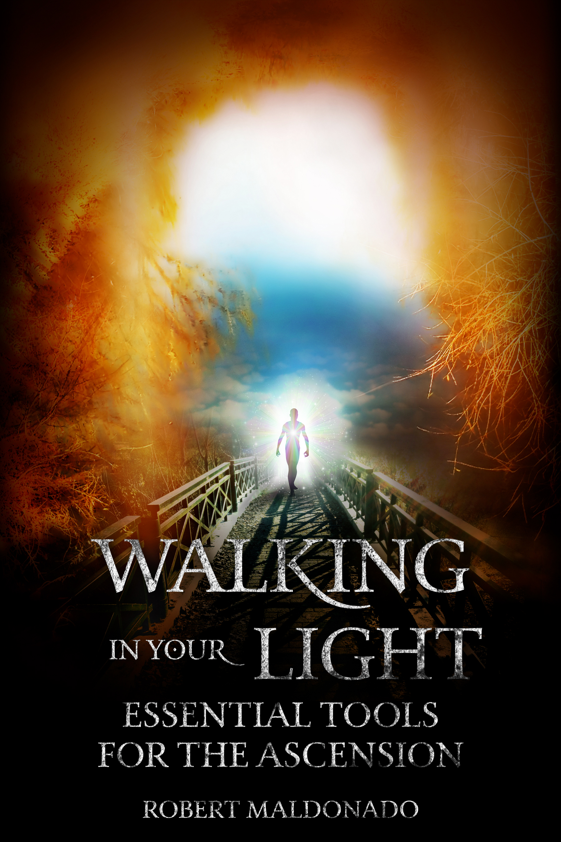 Book Cover Design by Ryan Munir for this project | Design #24433365