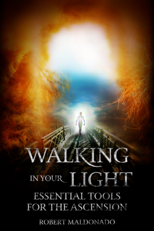 Book Cover Design by Ryan Munir for this project | Design: #24433365