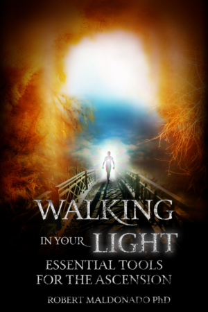 Book Cover Design by Ryan Munir for this project | Design: #24438666