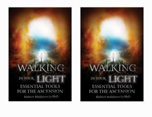 Book Cover Design by Ryan Munir for this project | Design: #24443314