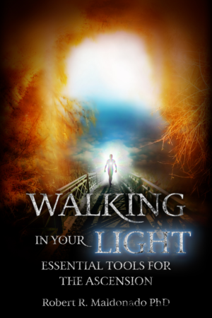 Book Cover Design by Ryan Munir for this project | Design: #24452163