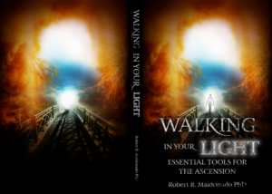Book Cover Design by Ryan Munir for this project | Design: #24461480
