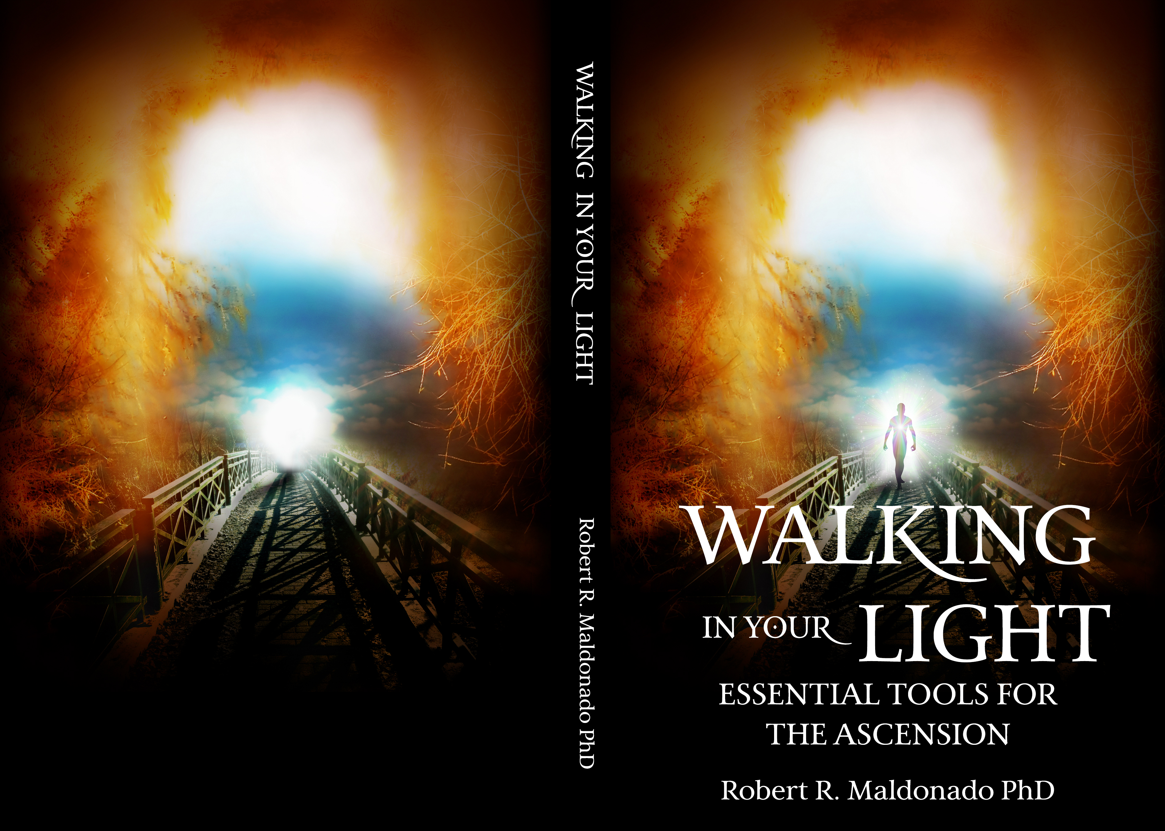 Design de Couverture de Livre par Ryan Munir pour ce projet | Design #24463767