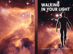 Book Cover Design by Vaishmedia25 for this project | Design #24461753