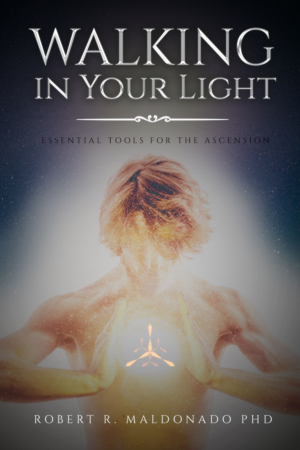 Book Cover Design by Estratosphera for this project | Design #24356248