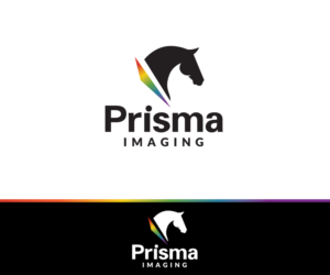 Logo Design by Painted Pony Studios