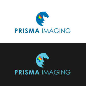 Logo Design by Hirushan