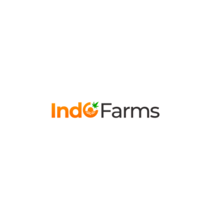 Logo Design by WirePaper
