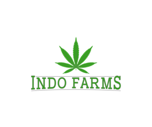 Diseño de Logo por N M Designs para The Holding Company | Diseño: #24424607