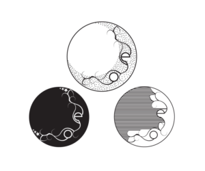 Grafik-Design von raihanaislam001 2 für dieses Projekt | Design: #24383512